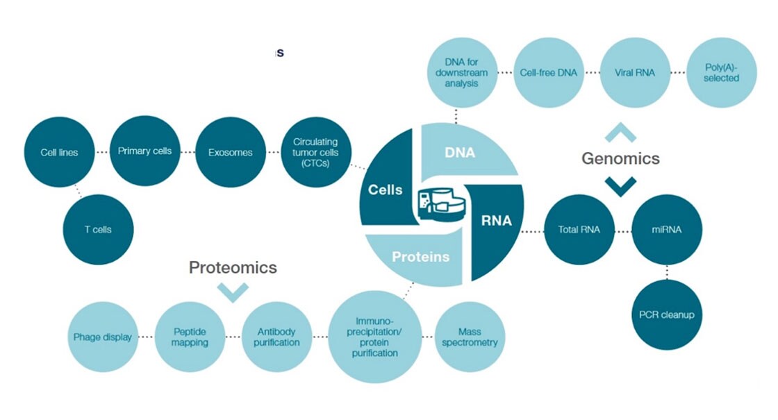 kingfisher-systems-chart