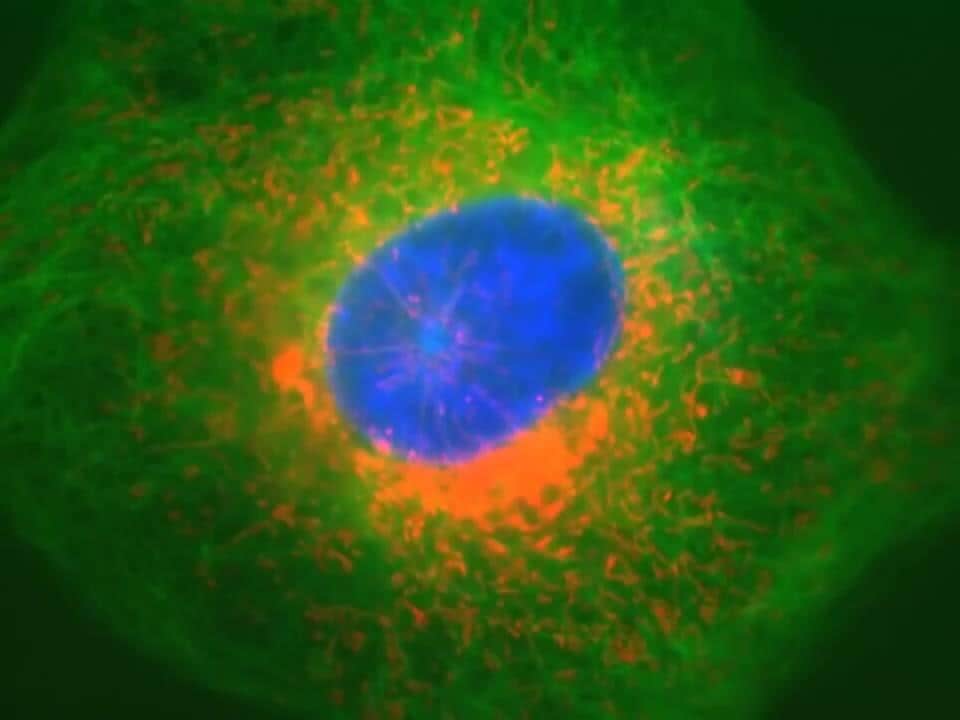 a man writing on a whiteboard