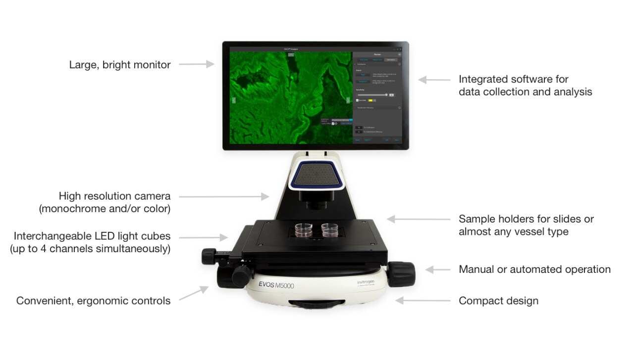EVOS microscopes design make them apt fo classrooms, teaching labs and conference rooms