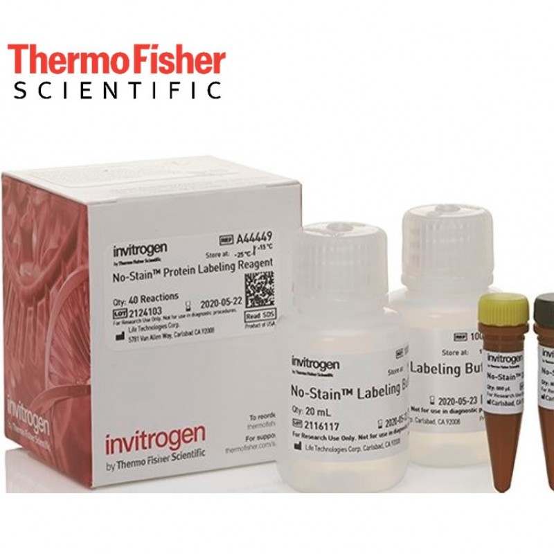 1736852117_No-Stain-Protein-Labeling-ReagentWestern-Blot-Toplam-Protein-Normallestirme-Reaktifi.jpg No-Stain™ Protein Labeling ReagentWestern Blot - Toplam Protein Normalleştirme Reaktifi - Görsel 1