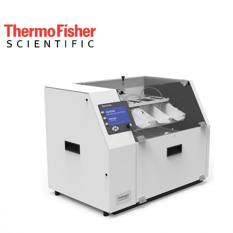 1736852133_BandmateWestern-Blot-Bandmate-Otomatik-Western-Blot-Islemcisi.jpg BandmateWestern Blot - Bandmate Otomatik Western Blot İşlemcisi - Görsel 1