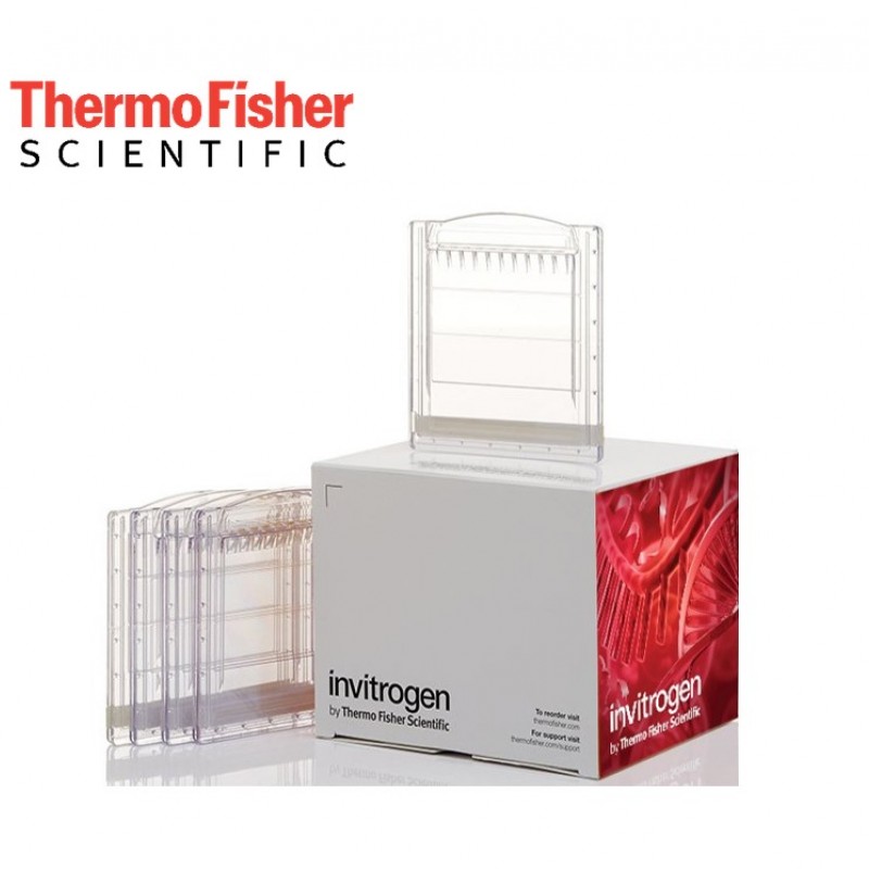 1736852178_Novex-Tris-Glycine-JelleriProtein-Jel-Elektroforezi-Novex-Tris-Glycine-Jelleri.jpg Novex™ Tris-Glycine JelleriProtein Jel Elektroforezi - Novex™ Tris-Glycine Jelleri - Görsel 1