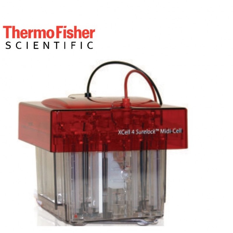 1736852184_XCell4-SureLock-Midi-CellProtein-Jel-Elektroforezi-Midi-Elektroforez-Sistemi.jpg XCell4 SureLock™ Midi-CellProtein Jel Elektroforezi - Midi Elektroforez Sistemi - Görsel 1