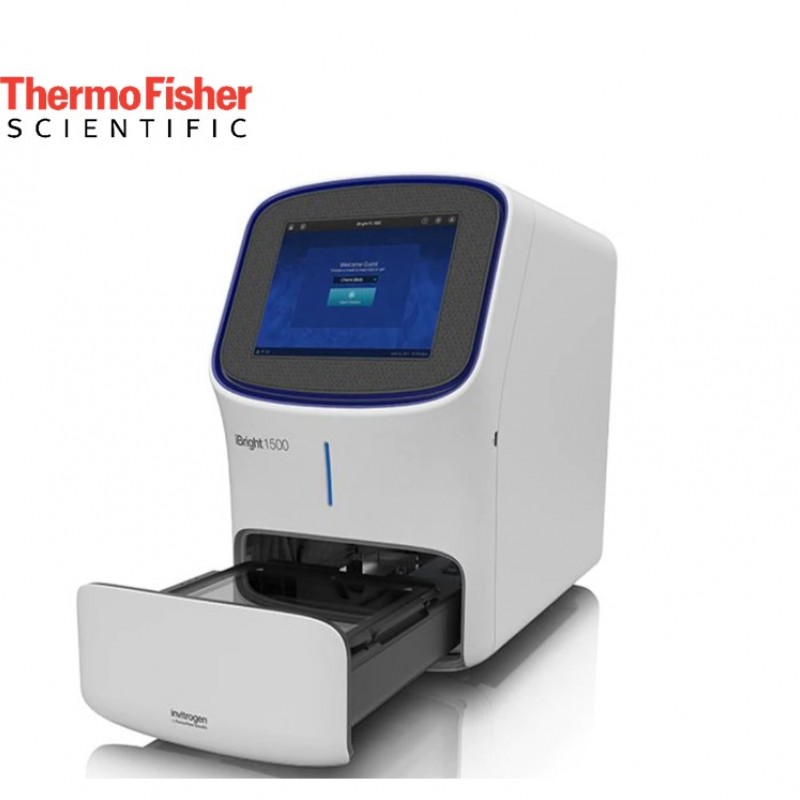 1736852526_iBrightWestern-Blot-Jel-Elektroforez-Goruntuleme-Sistemi.jpg iBright™Western Blot - Jel Elektroforez Görüntüleme Sistemi - Görsel 1