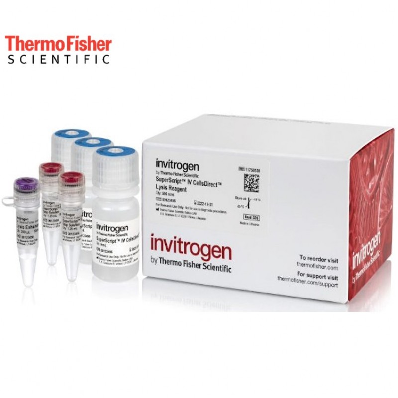 CellsDirect-Lysis-ReagentsInvitrogen-SuperScript-IV-CellsDirect-Real-Time-PCR-Lysis.jpg