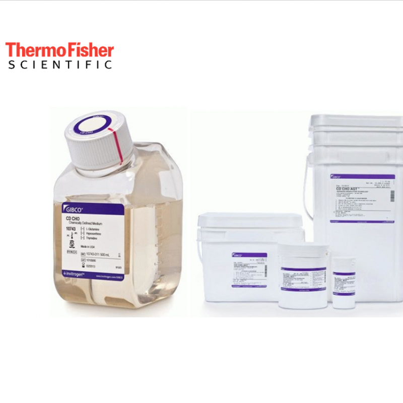 Gibco-CD-CHO-Besiyeri-ve-CD-CHO-AGT-BesiyeriCD-CHO.png Gibco™ CD CHO Besiyeri ve CD CHO AGT BesiyeriCD CHO Besiyeri ve CD CHO AGT Besiyeri - Görsel 1