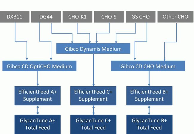 Product selection chart based on cell type