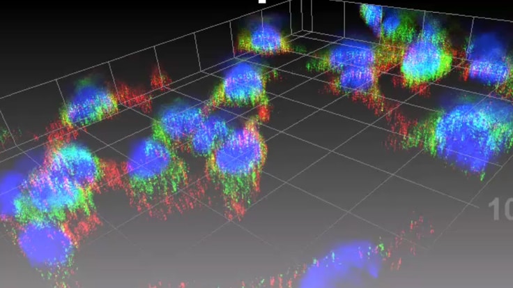 a screenshot of a video game