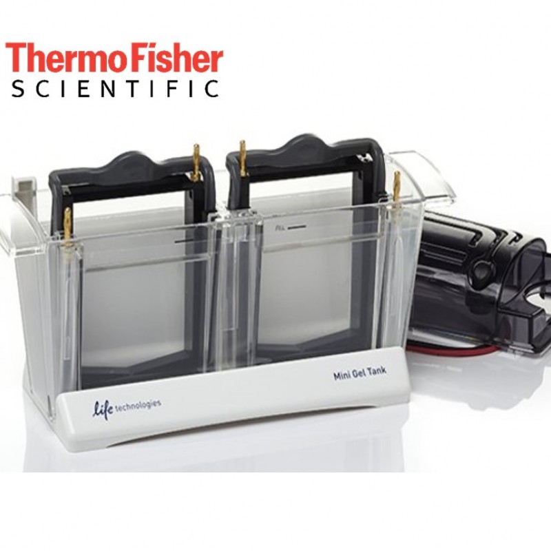Mini-Jel-TankiJel-Elektroforezi-Invitrogen-Mini-Jel-Tanki.jpg Mini Jel TankıJel Elektroforezi - Invitrogen™ Mini Jel Tankı - Görsel 1