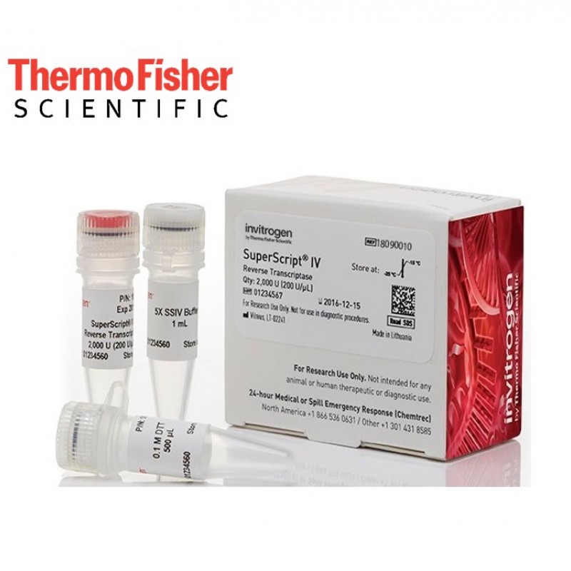 SuperScript-IV-Reverse-TranscriptaseInvitrogen-SuperScript-IV-Reverse-Transcriptase-Kitleri.jpg