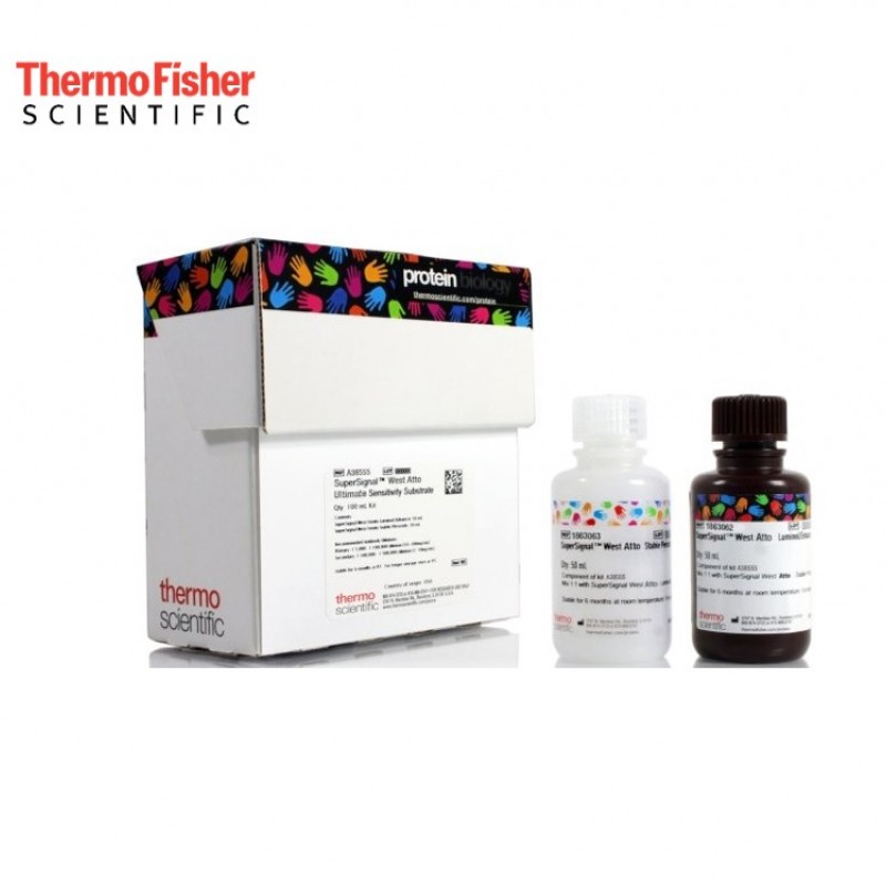 SuperSignal-West-AttoKemiluminesans-Western-Blot-Tanimlama-SuperSignal-West-Atto.jpg SuperSignal™ West AttoKemilüminesans Western Blot Tanımlama - SuperSignal™ West Atto Temel Hassasiyetli Substrat - Görsel 1