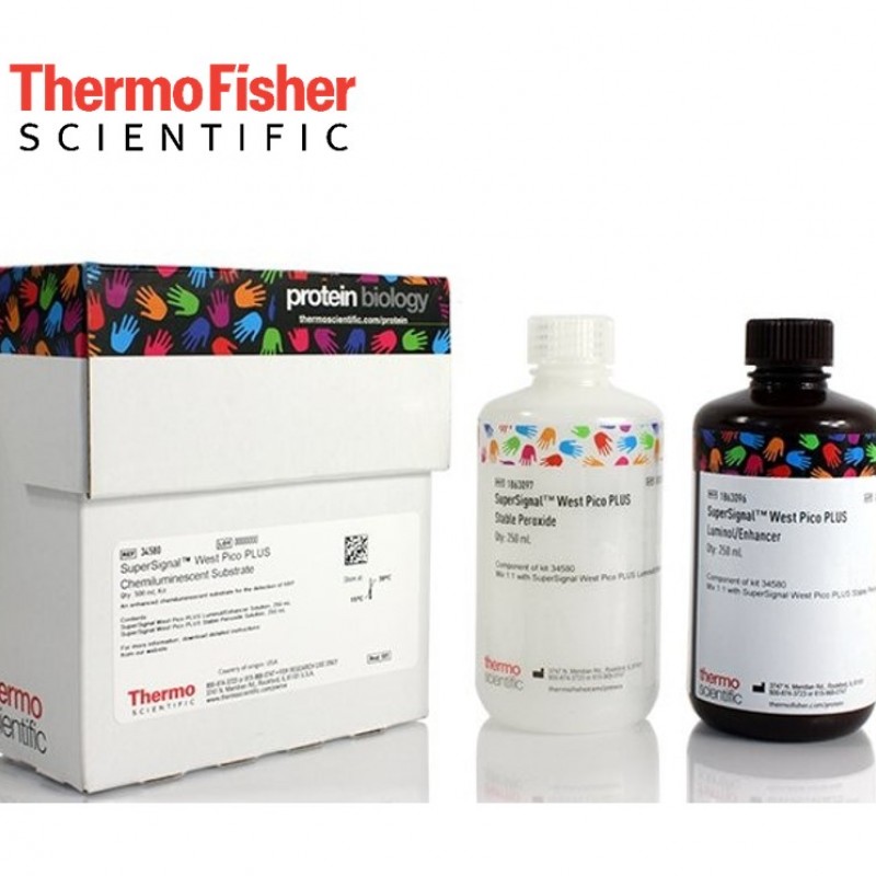 SuperSignal-West-Pico-PLUS-Kemiluminesans-Western-Blot-Tanimlama-SuperSignal.jpg SuperSignal™ West Pico PLUS Kemilüminesans Western Blot Tanımlama - SuperSignal™ West Pico PLUS Substratı - Görsel 1