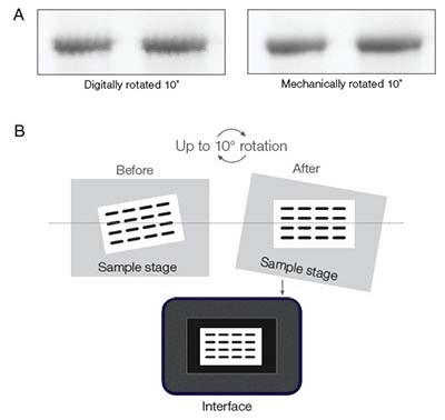 Mechanical rotation vs digital rotation and illustration of automatic mechanical rotation in the iBright Imager.