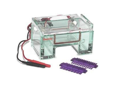 OWL-B1A-Mini-Jel-Sistemi-7-x-8-cm.jpg OWL™ B1A Mini Jel Sistemi, 7 x 8 cm - Görsel 1