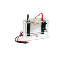 Owl-P82-Cift-Jel-Elektroforez-Sistemi.jpg Owl* P82 Çift Jel Elektroforez Sistemi - Görsel 1